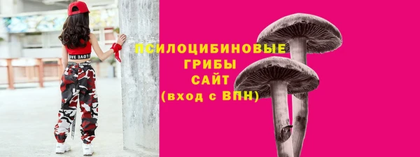 ПСИЛОЦИБИНОВЫЕ ГРИБЫ Зеленокумск