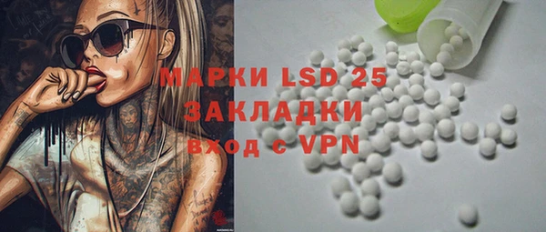 индика Михайлов