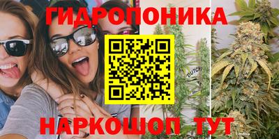 прущие грибы Абакан
