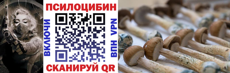 купить  цена  Касимов  Псилоцибиновые грибы ЛСД 
