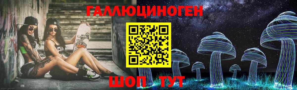 Псилоцибиновые грибы MAGIC MUSHROOMS  Вход с VPN  Касимов 